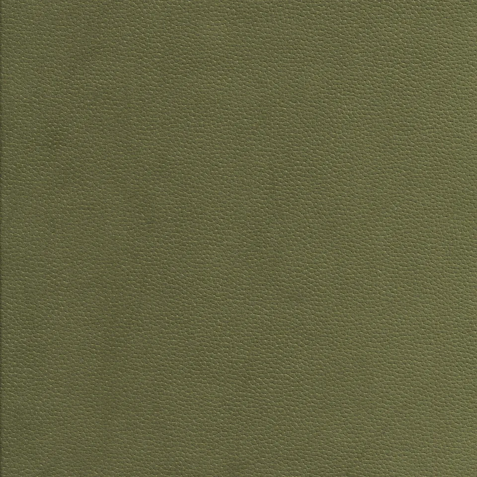 Образец обивки PASCIÀ, оттенок VERDE ACIDO