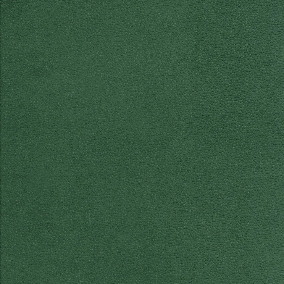 Образец обивки PASCIÀ, оттенок VERDE