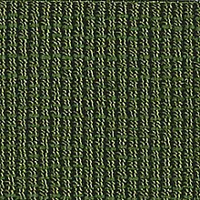 Образец ткани Dallagnese — Gros-grain edging, Verde 133