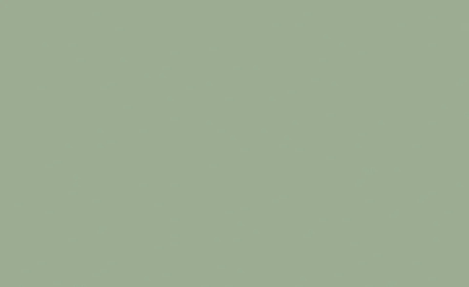 Образец лака Dallagnese — Verde pallido 190