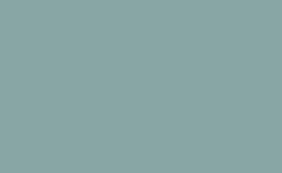 Образец лака Dallagnese — Grigio Garda 246