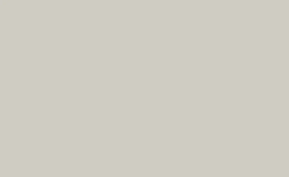 Образец лака Dallagnese — Light grey 71
