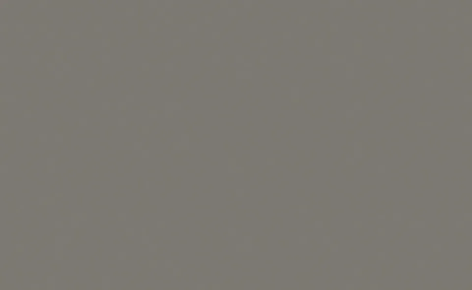 Образец лака Dallagnese — Dark grey 72