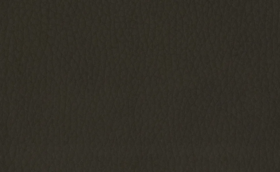 Образец ткани Dallagnese — Vintage eco-leather, оттенок 19
