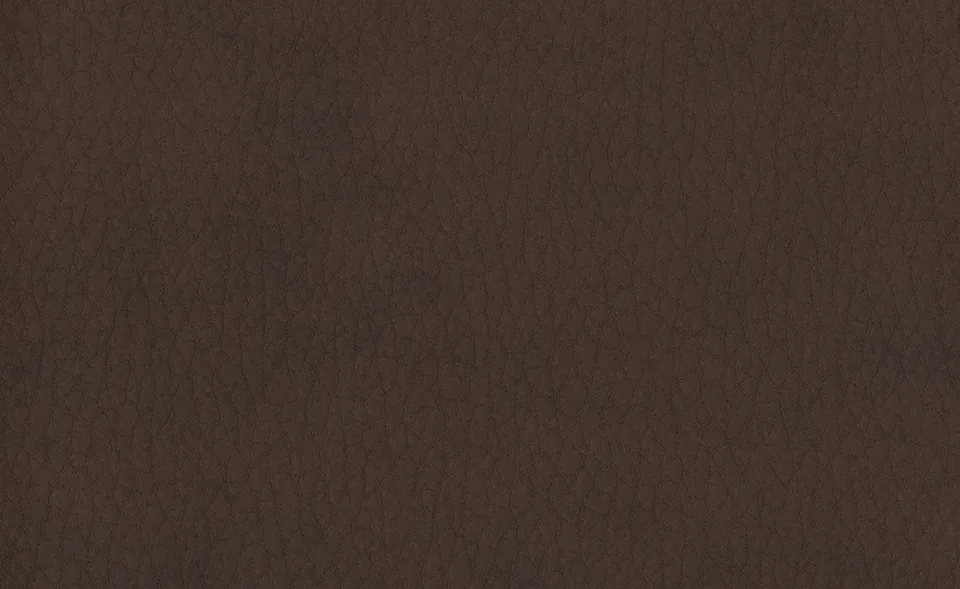 Образец ткани Dallagnese — Vintage eco-leather, оттенок 22
