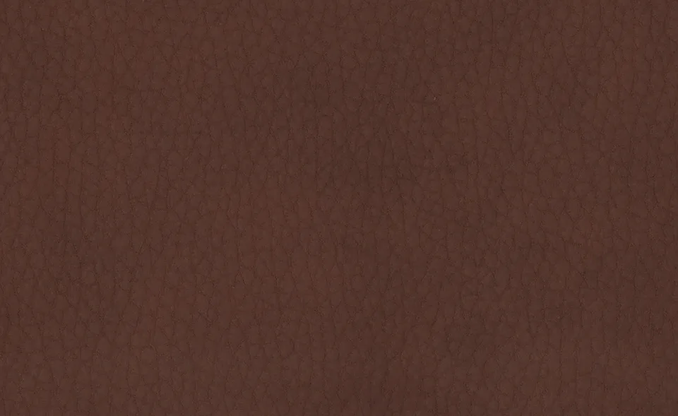 Образец ткани Dallagnese — Vintage eco-leather, оттенок 4