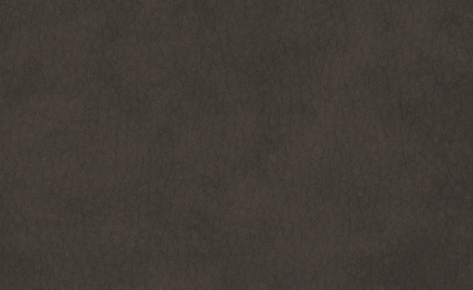 Образец ткани Dallagnese — Vintage eco-leather, оттенок 8