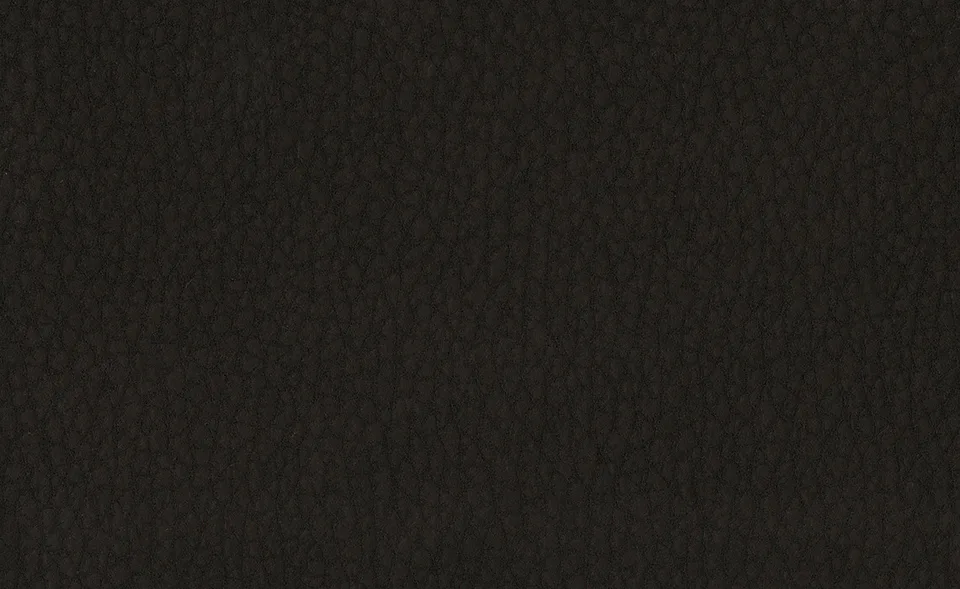 Образец ткани Dallagnese — Vintage eco-leather, оттенок 9